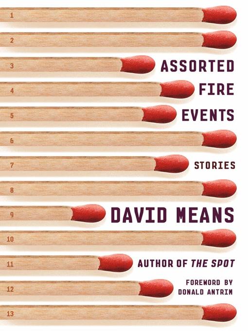 Title details for Assorted Fire Events by David Means - Wait list